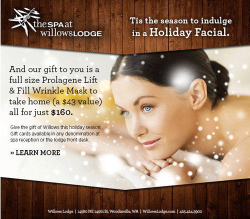 Willows Lodge Spa Special